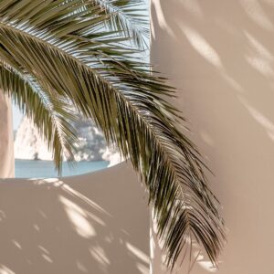 Venture Home – Poster Palmleaf – Beige – Posters – Från Homeroom