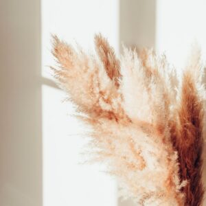 Venture Home – Poster Pampas – Beige – Posters – Från Homeroom