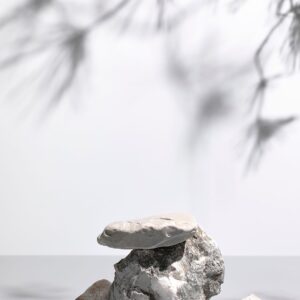 Venture Home – Poster Sandstones – Vit – Posters – Från Homeroom