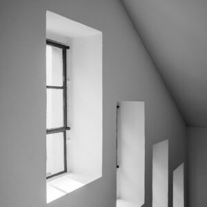 Venture Home – Poster Widows – Svart – Posters – Från Homeroom