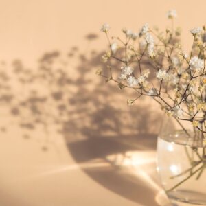 Venture Home – Poster white flowers – Beige – Posters – Från Homeroom