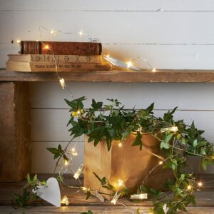 Star Trading – CLIPPY ljusslinga LED – Transparent – Ljusslingor – Från Homeroom