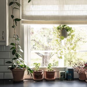 Hasta – Hissgardin Lina – Vit – Hissgardiner – Från Homeroom