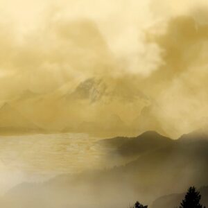 Malerifabrikken – Poster Holy land 2 – Gul – Posters – Från Homeroom