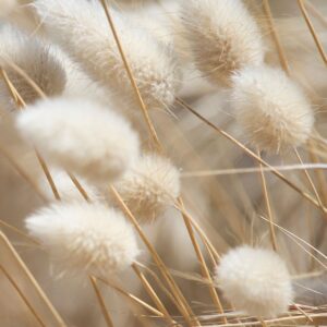 Malerifabrikken – Poster Mellow Grasses 8 – Beige – Posters – Från Homeroom