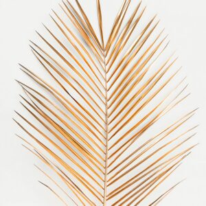 Malerifabrikken – Poster Palm leaf gold – Guld – Posters – Från Homeroom
