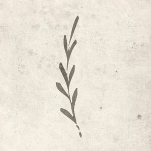 Venture Home – Poster Autumn leaf – Beige – Posters – Från Homeroom