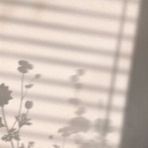 Venture Home – Poster Flower shadow – Vit – Posters – Från Homeroom